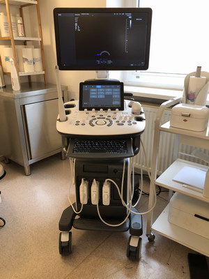frauenarzt ultraschall